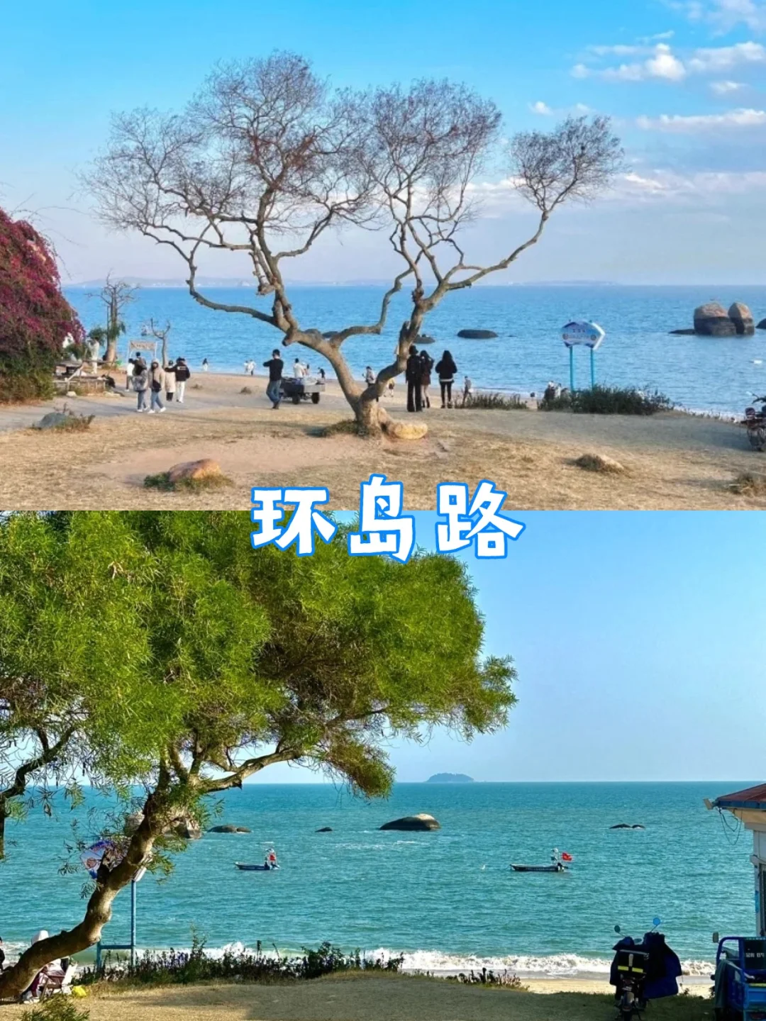 🌸五一厦门旅游攻略!五天四晚玩转厦门