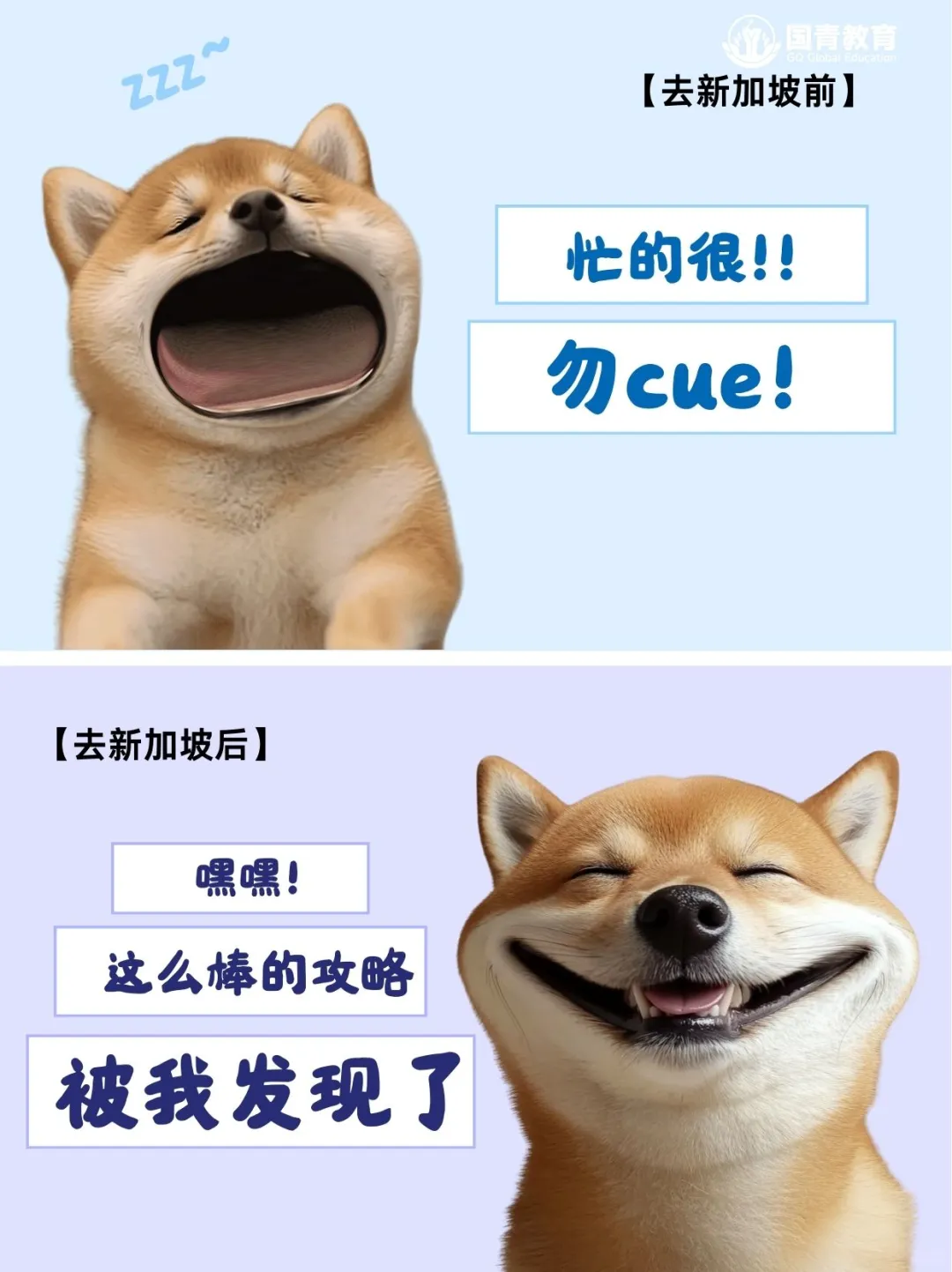 新加坡旅游攻略 | 一次嗨玩狮城的超全指南