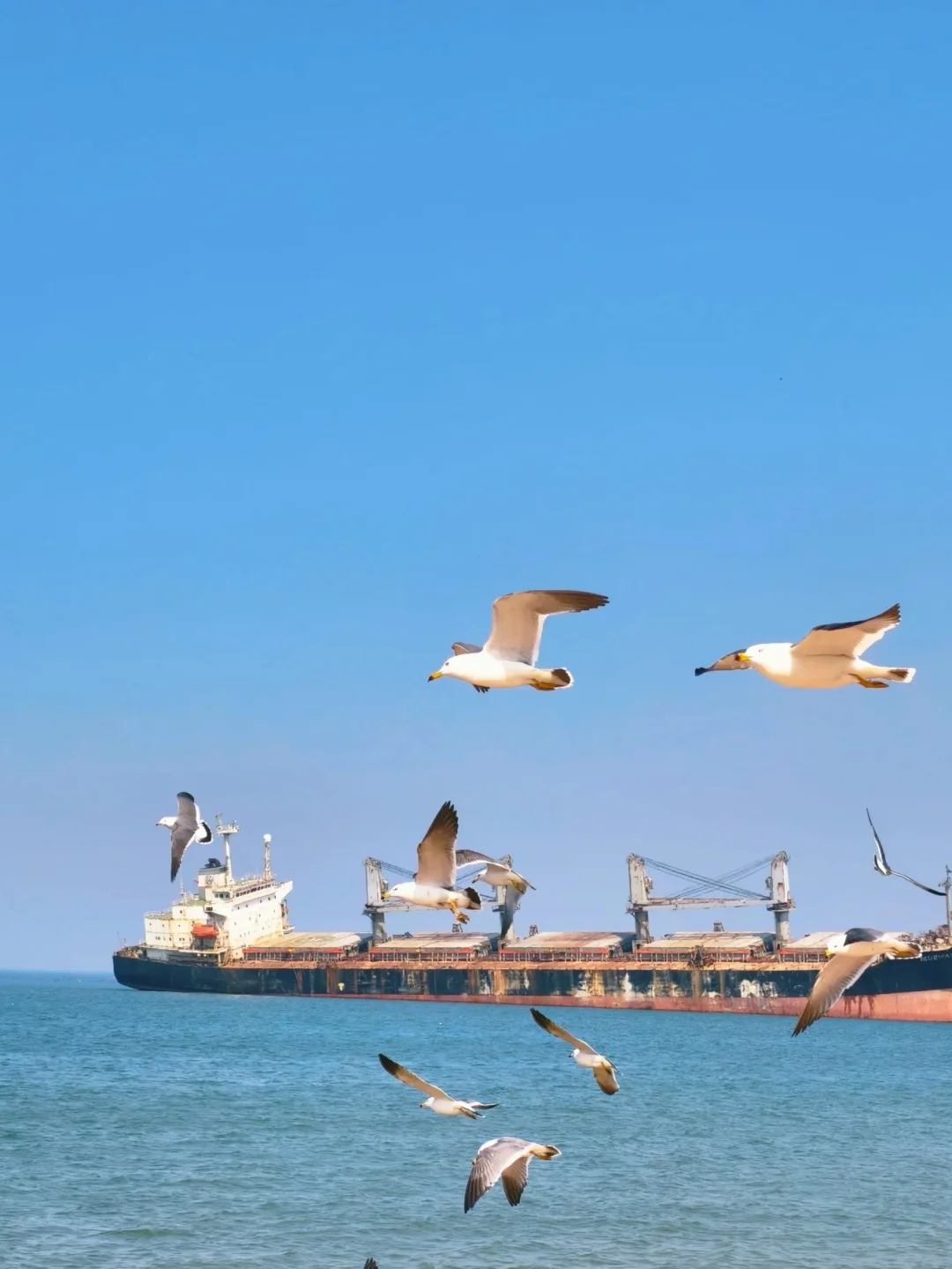 本地人做的威海攻略已nextlevel❗码住☝️