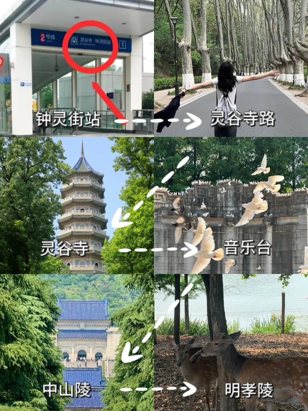 南京旅游|钟山风景区+夫子庙💥听劝🆚不听劝