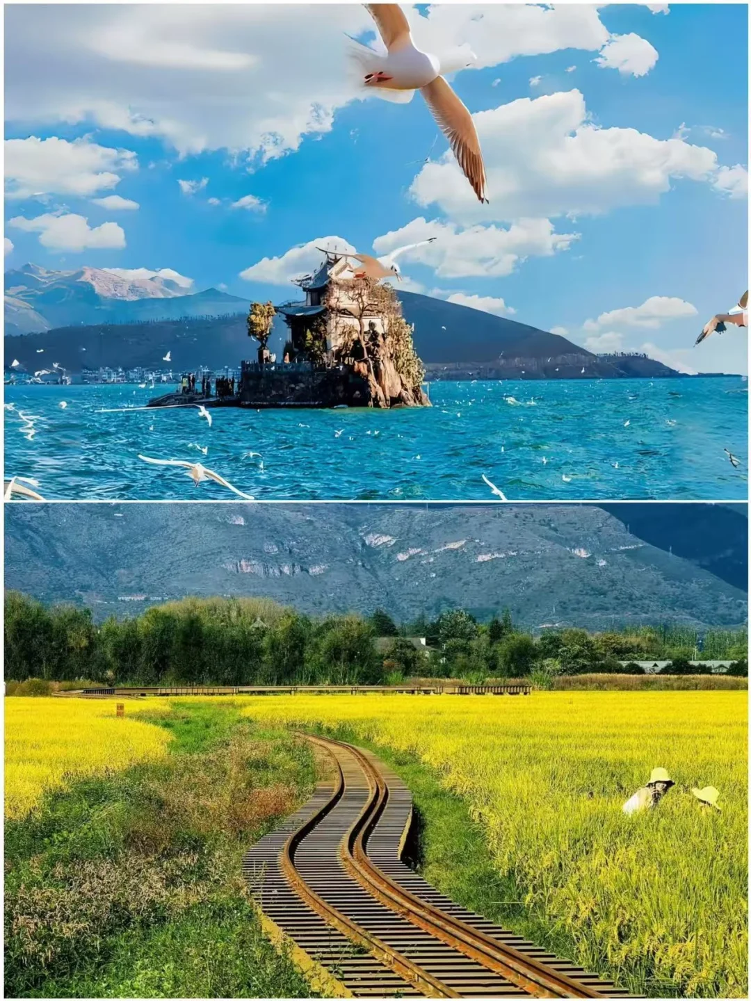 3-4月最值得去的五个城市！