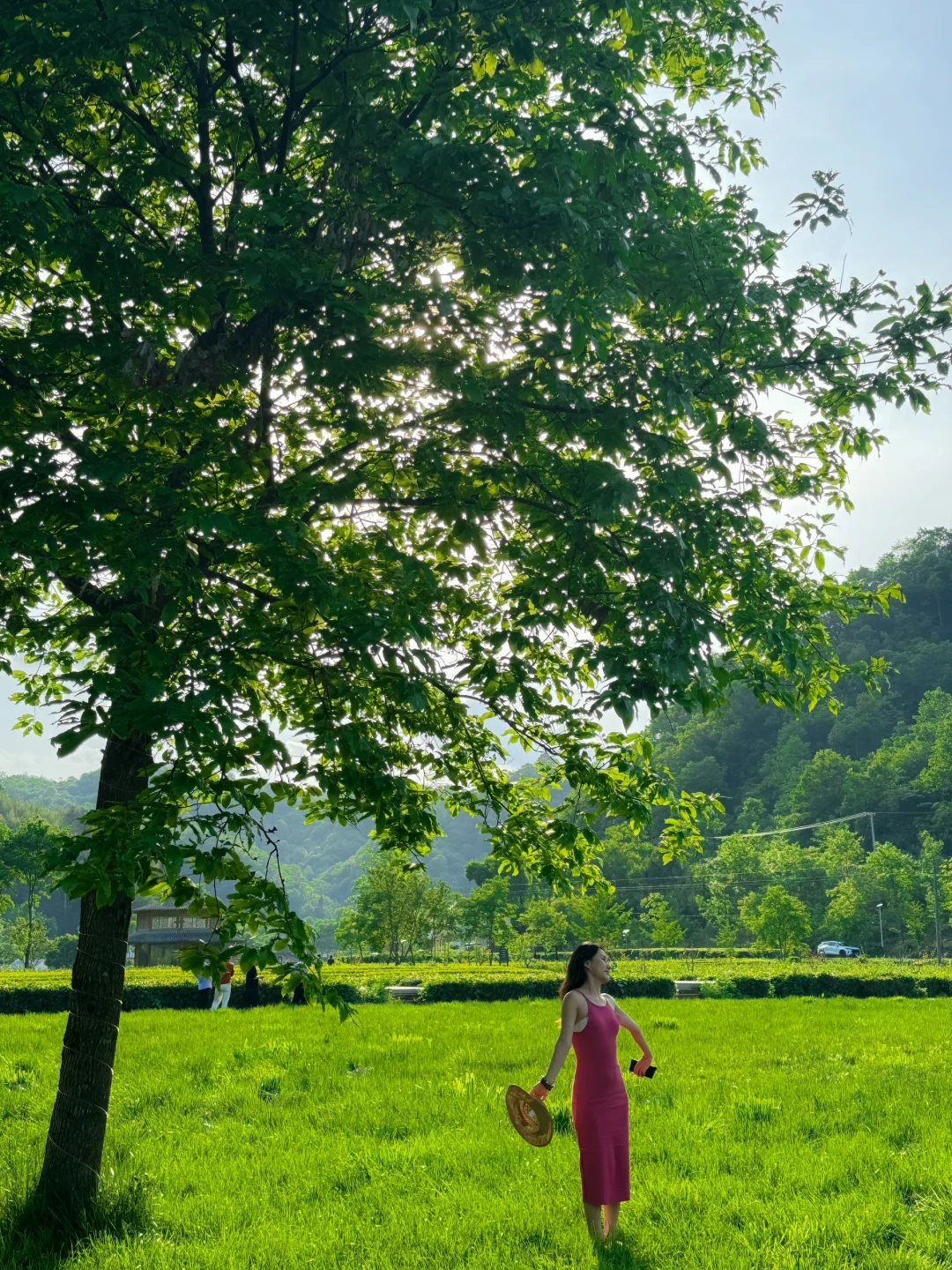 五一去陇南 | 这份攻略直接抄📸附详细机位