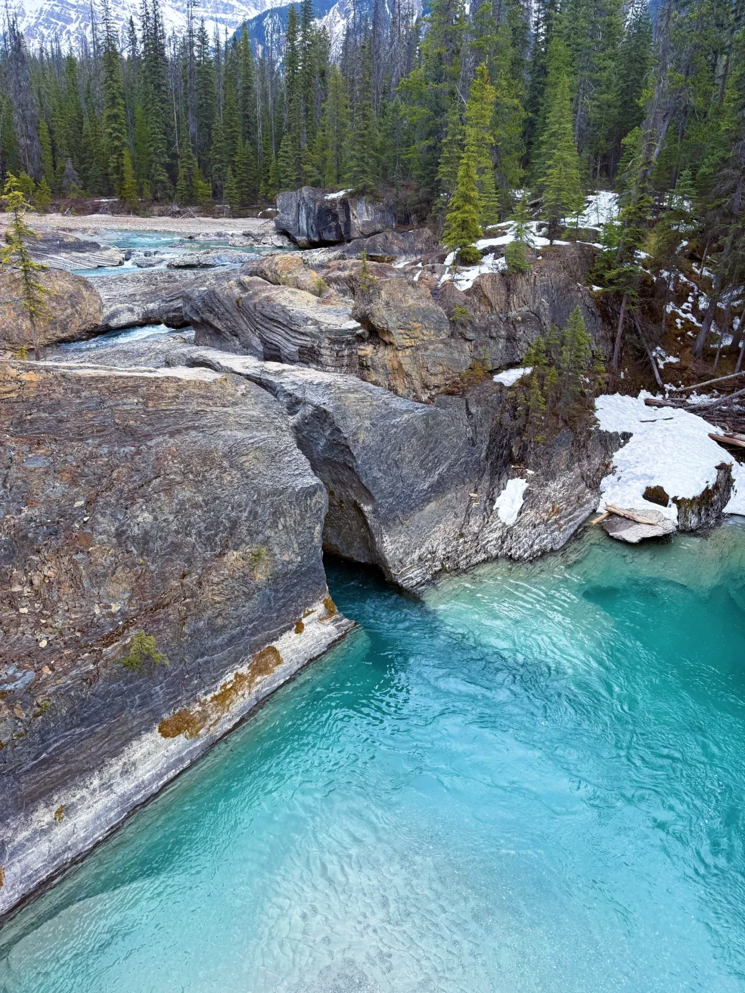 🇨🇦班夫4.19各大景点/湖现场报告(附图)