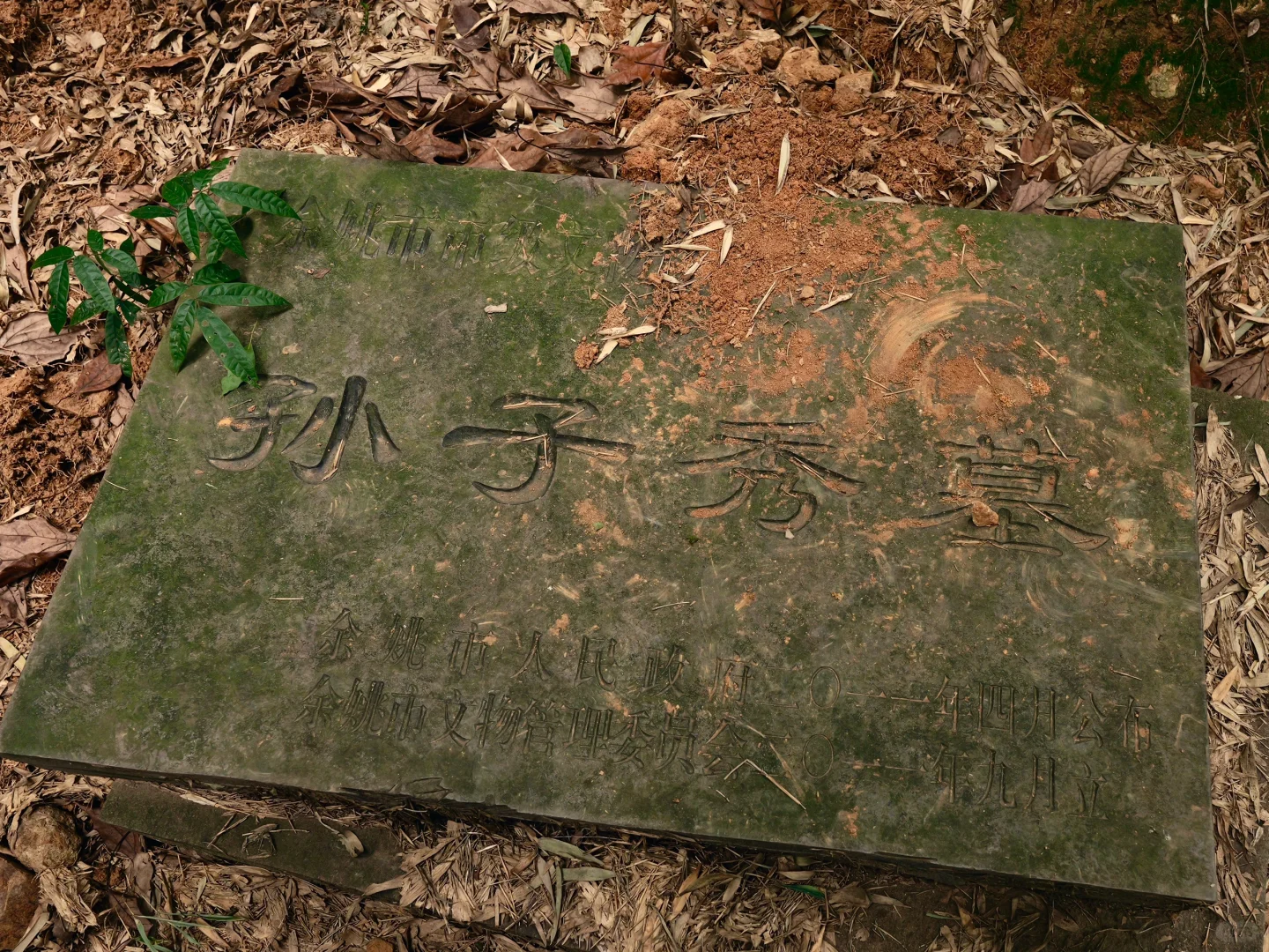 在四明湖深处，误撞了南宋石像生