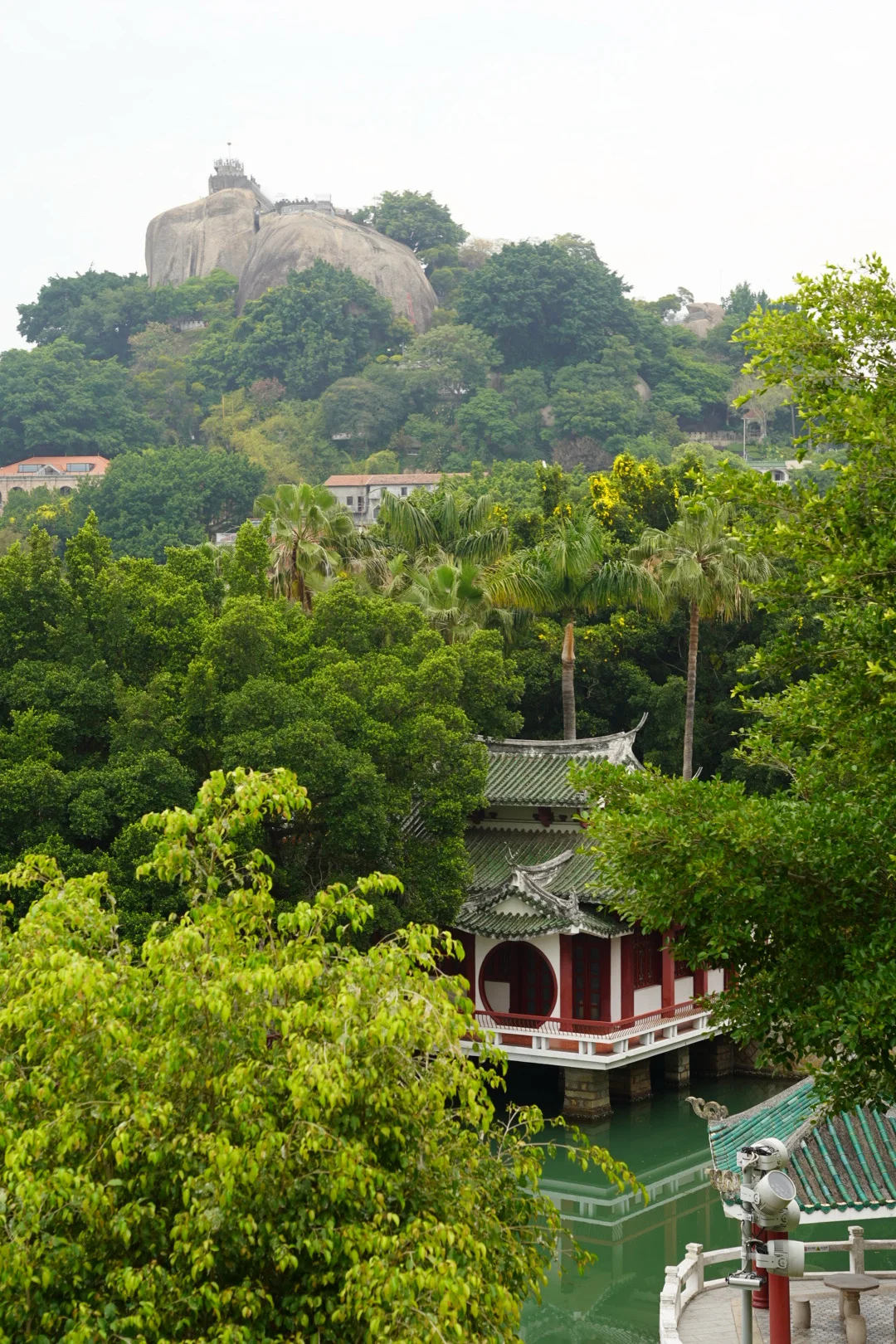 度假时光｜一个人的鼓浪屿，漫步成诗⛱️