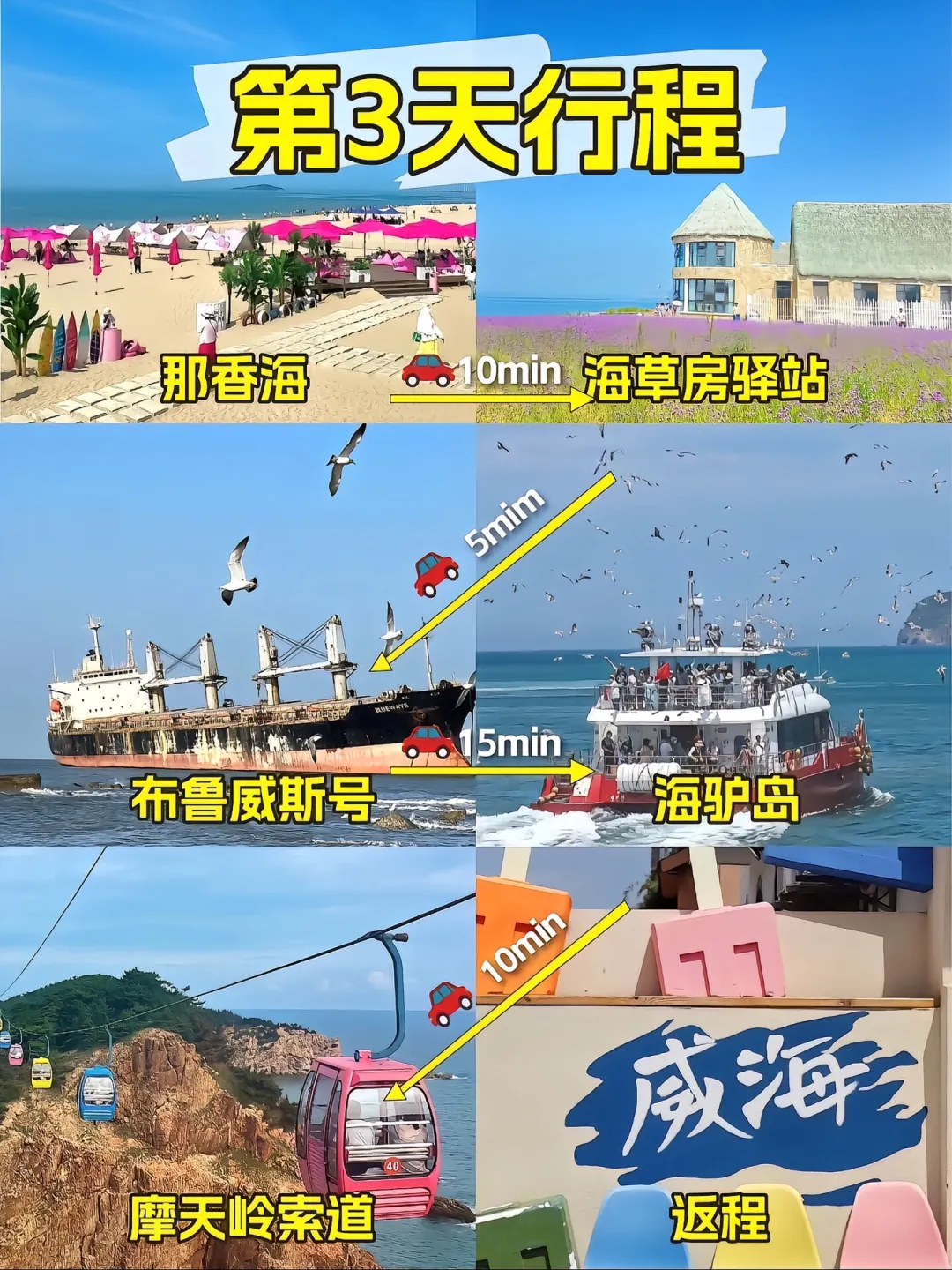 📍威海已回，我的建议是……