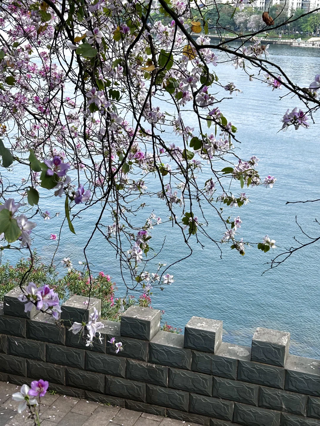 超详细柳州三天两夜旅游攻略（去粉版）