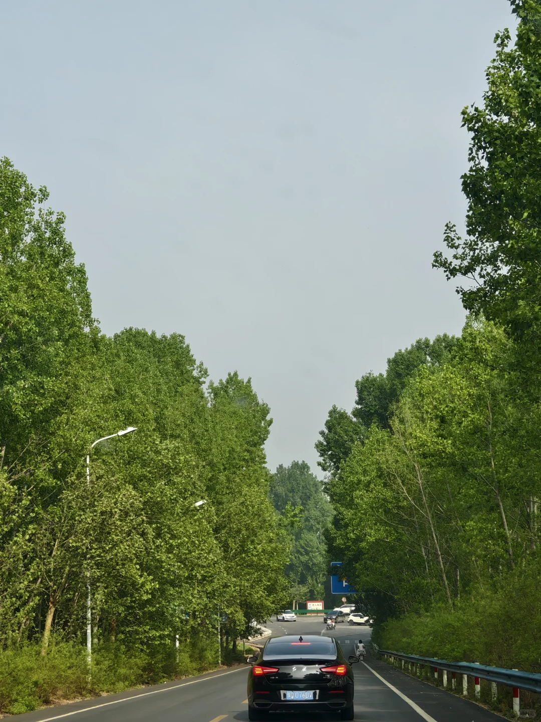 河南，你真的让我眼前一亮一亮又一亮