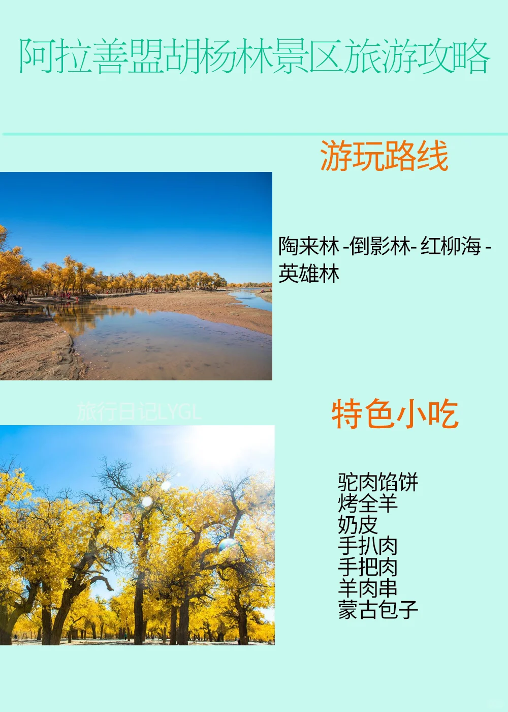 内蒙古阿拉善盟胡杨林旅游攻略