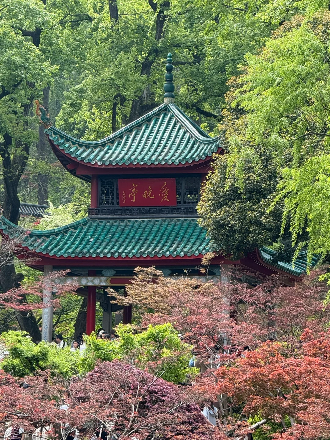 长沙3天2晚旅游攻略