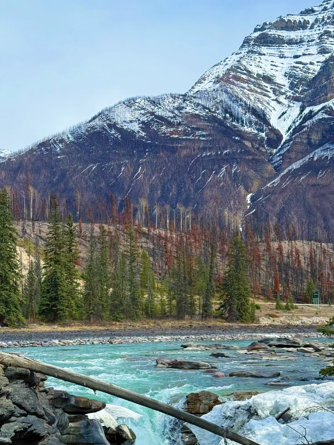 🇨🇦班夫4.19各大景点/湖现场报告(附图)