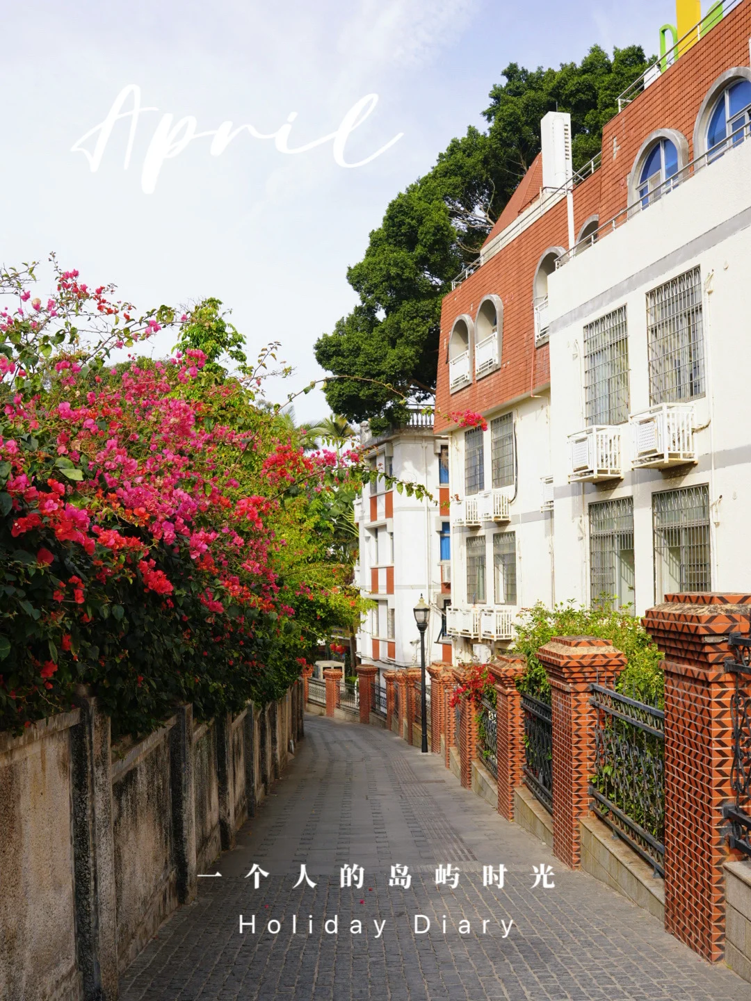 度假时光｜一个人的鼓浪屿，漫步成诗⛱️