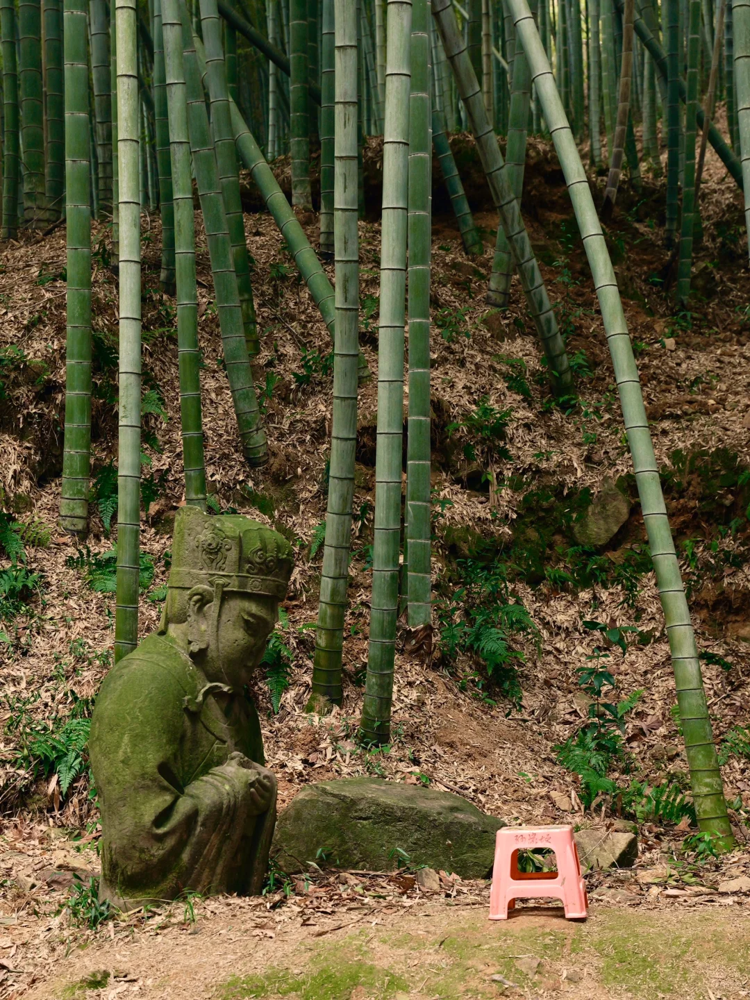 在四明湖深处，误撞了南宋石像生