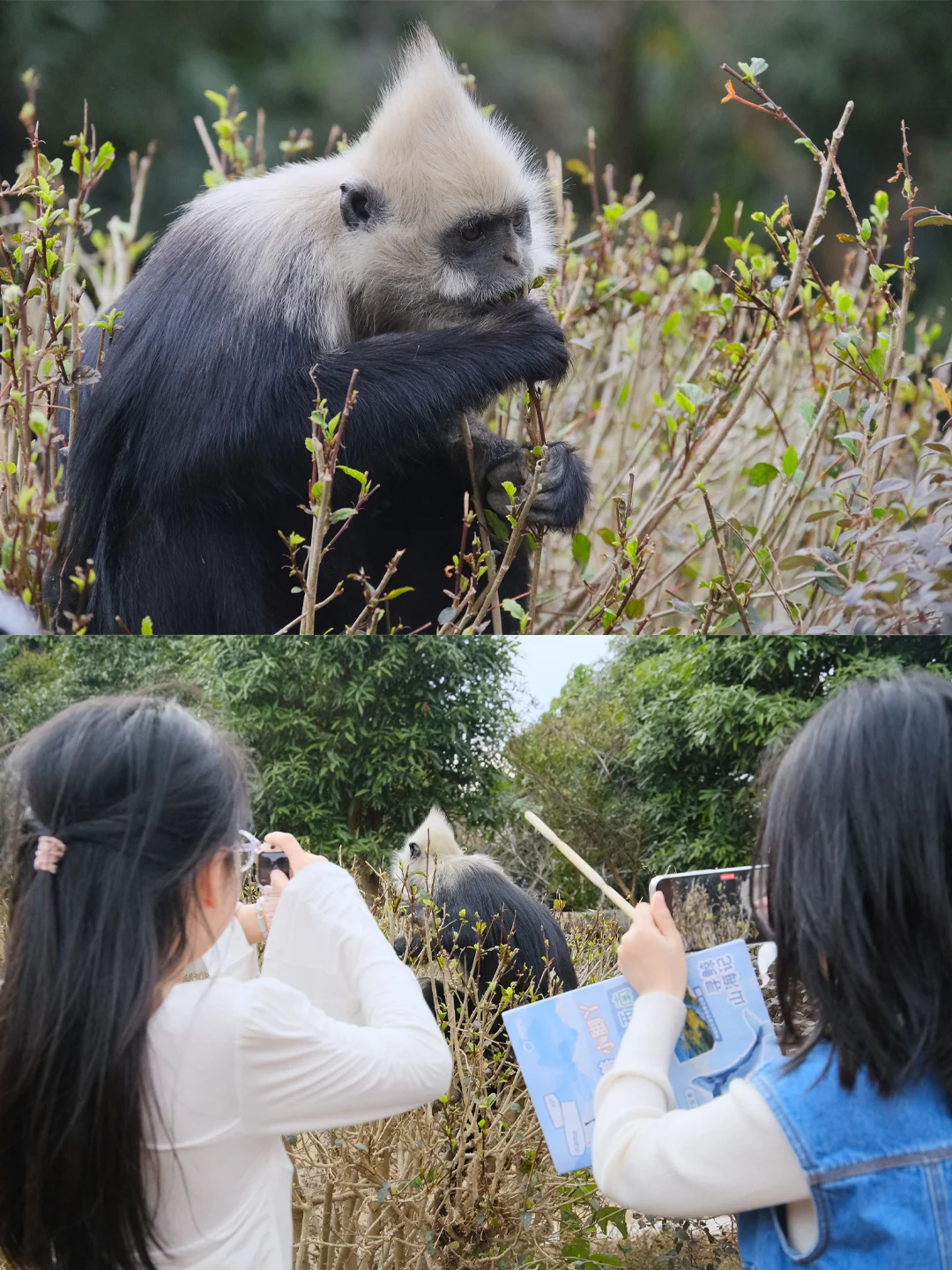 五一和老公去了崇左，真的比新西兰还震撼！