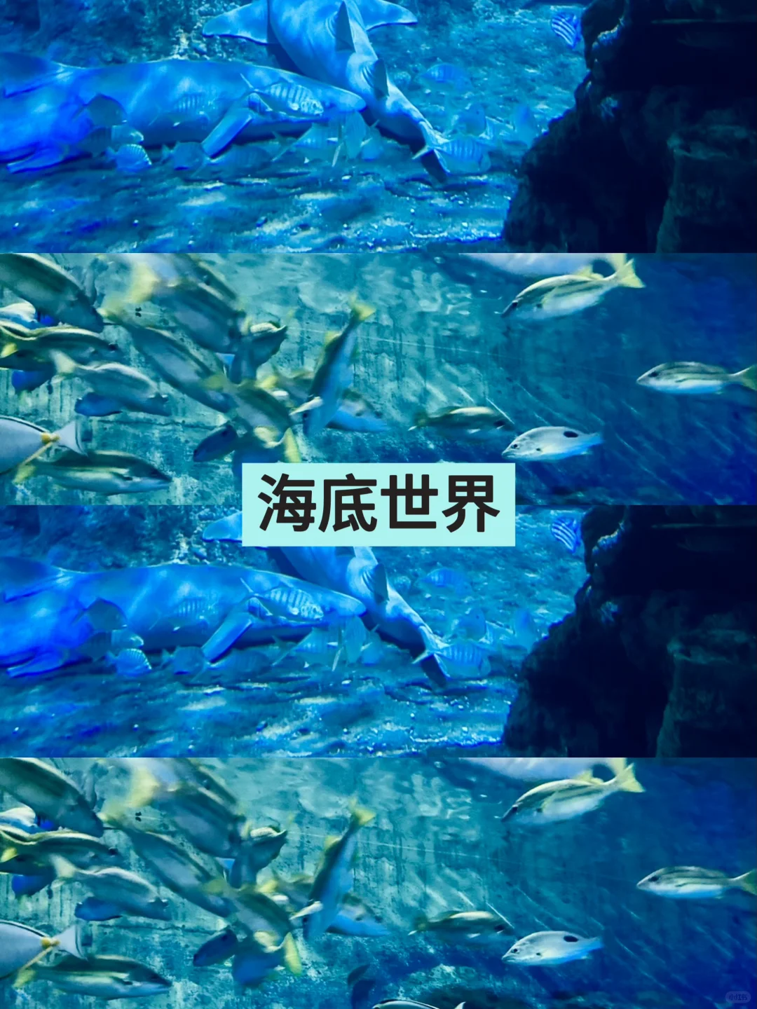 厦门旅游攻略赶紧码住！！