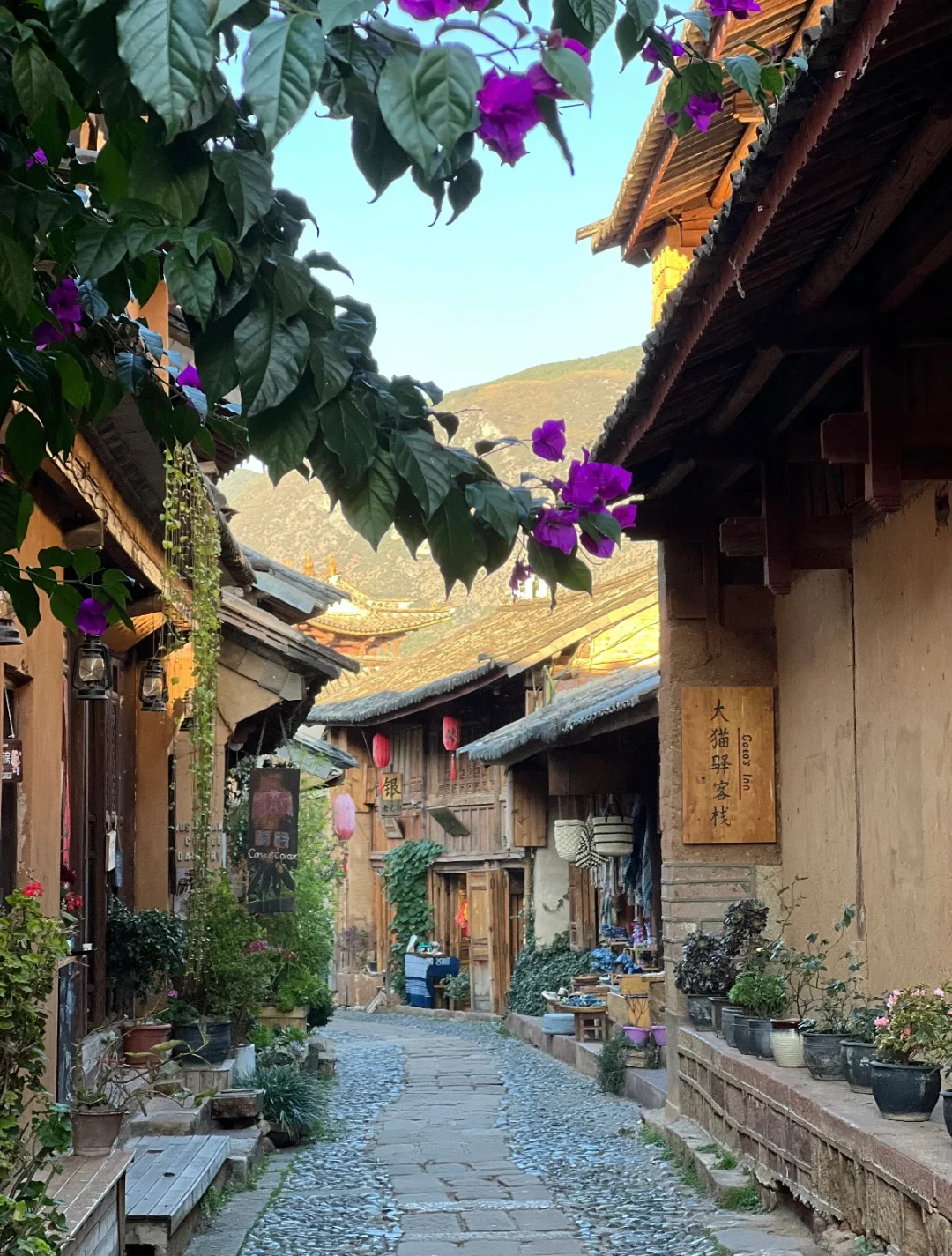 一生必去一次!在大理解锁世外桃源般的生活