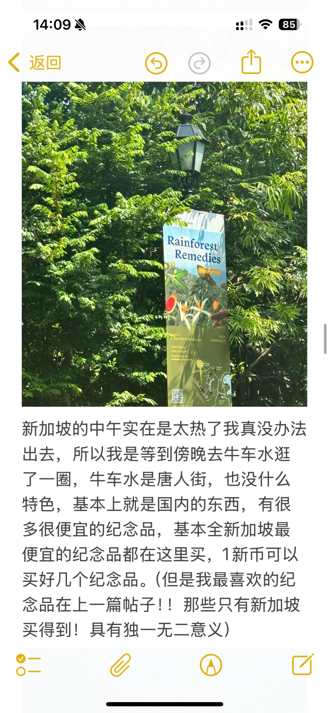 女大全能超详细的新加坡攻略！（便宜安全版）