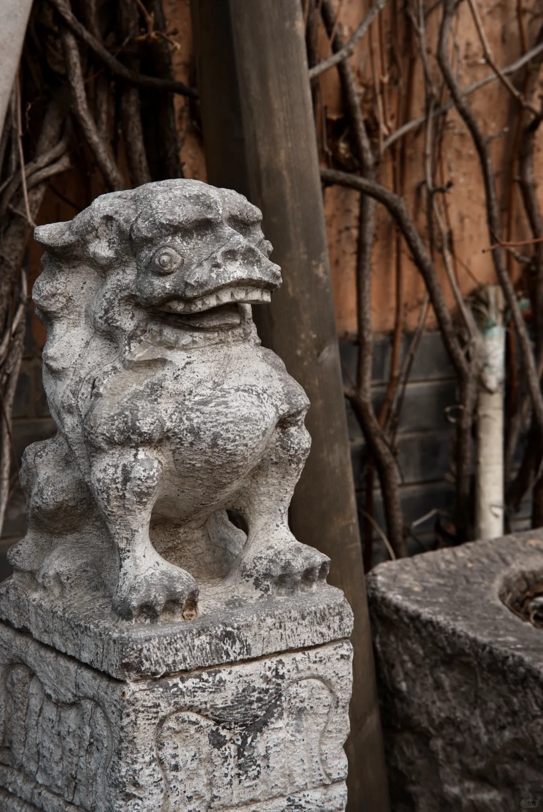 景区里的日咖夜酒🍻