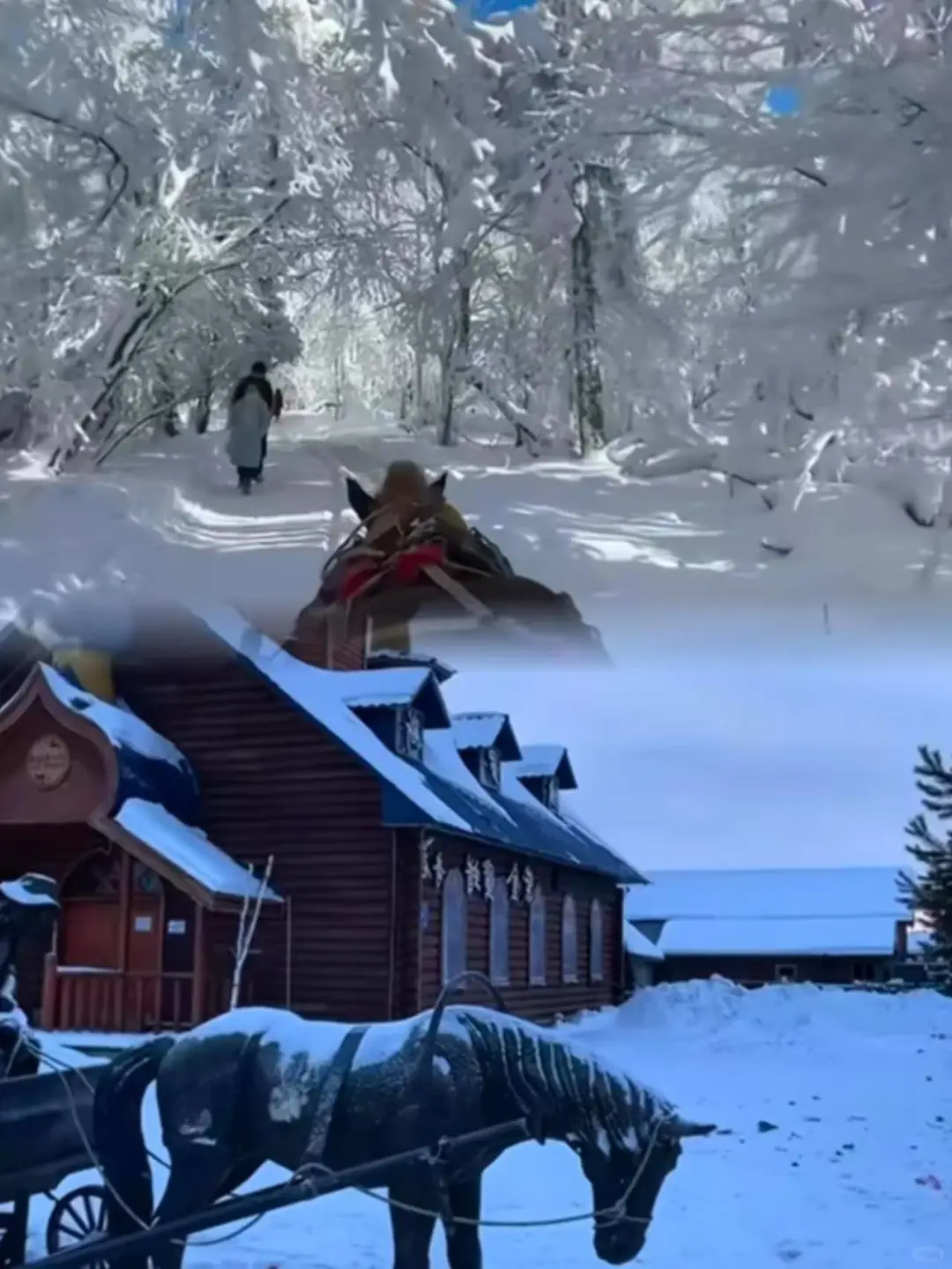 ❄漠河旅游｜雪国列车🚆去了漠河才知道…