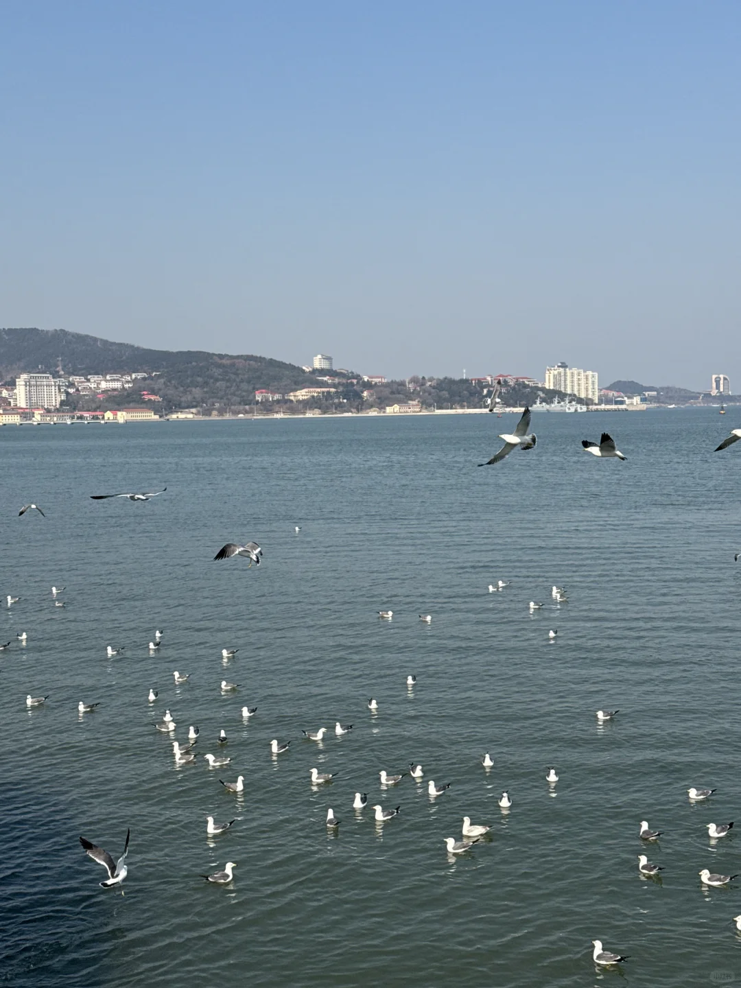 4-5月去威海旅游♥带你3天玩转威海