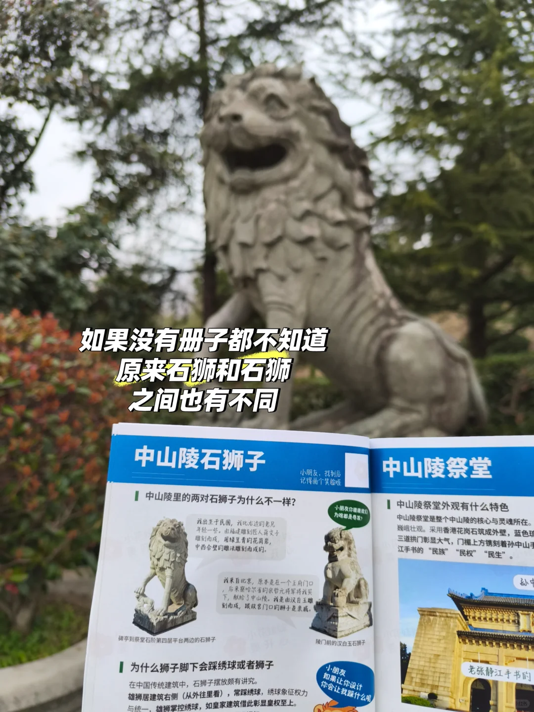 带娃去南京中山陵前不知道这些你会后悔的！