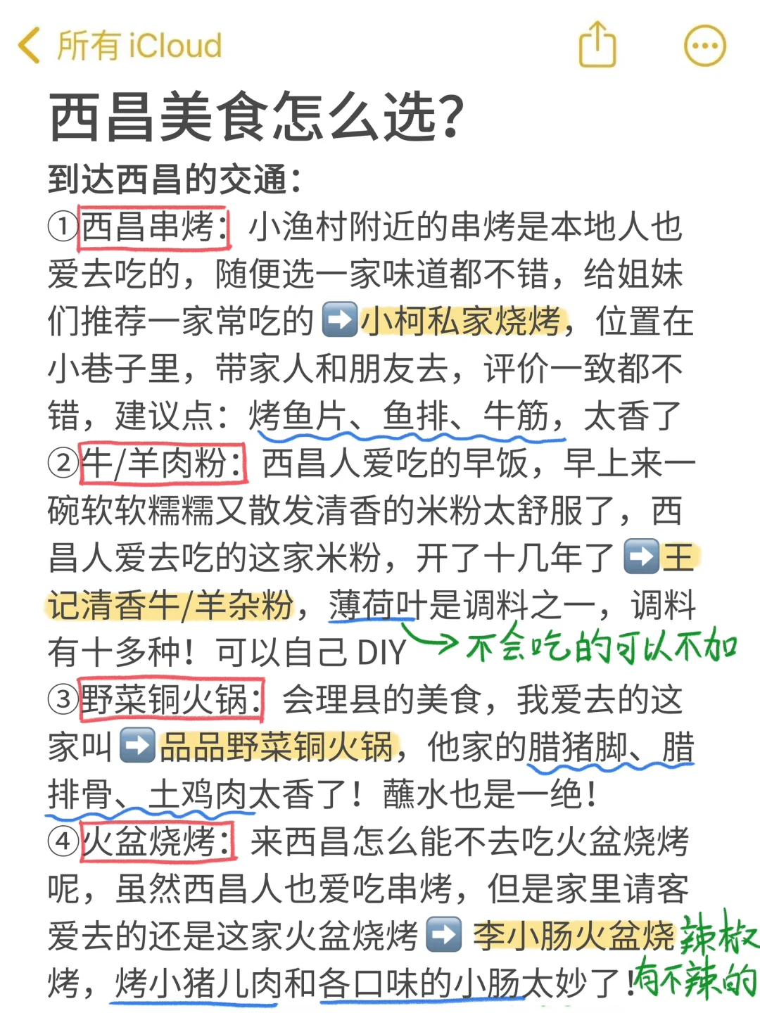 去西昌一定要避雷😅|J人手写📖攻略