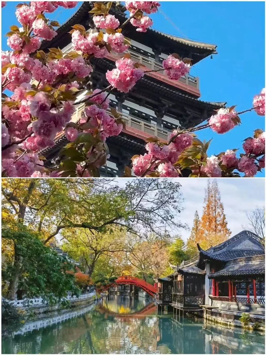 3-4月最值得去的五个城市！