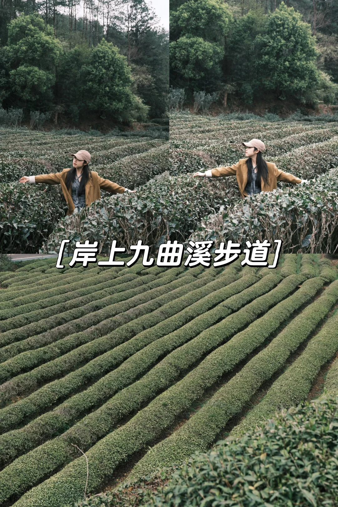 长沙出发| 📍武夷山三天两晚旅游攻略