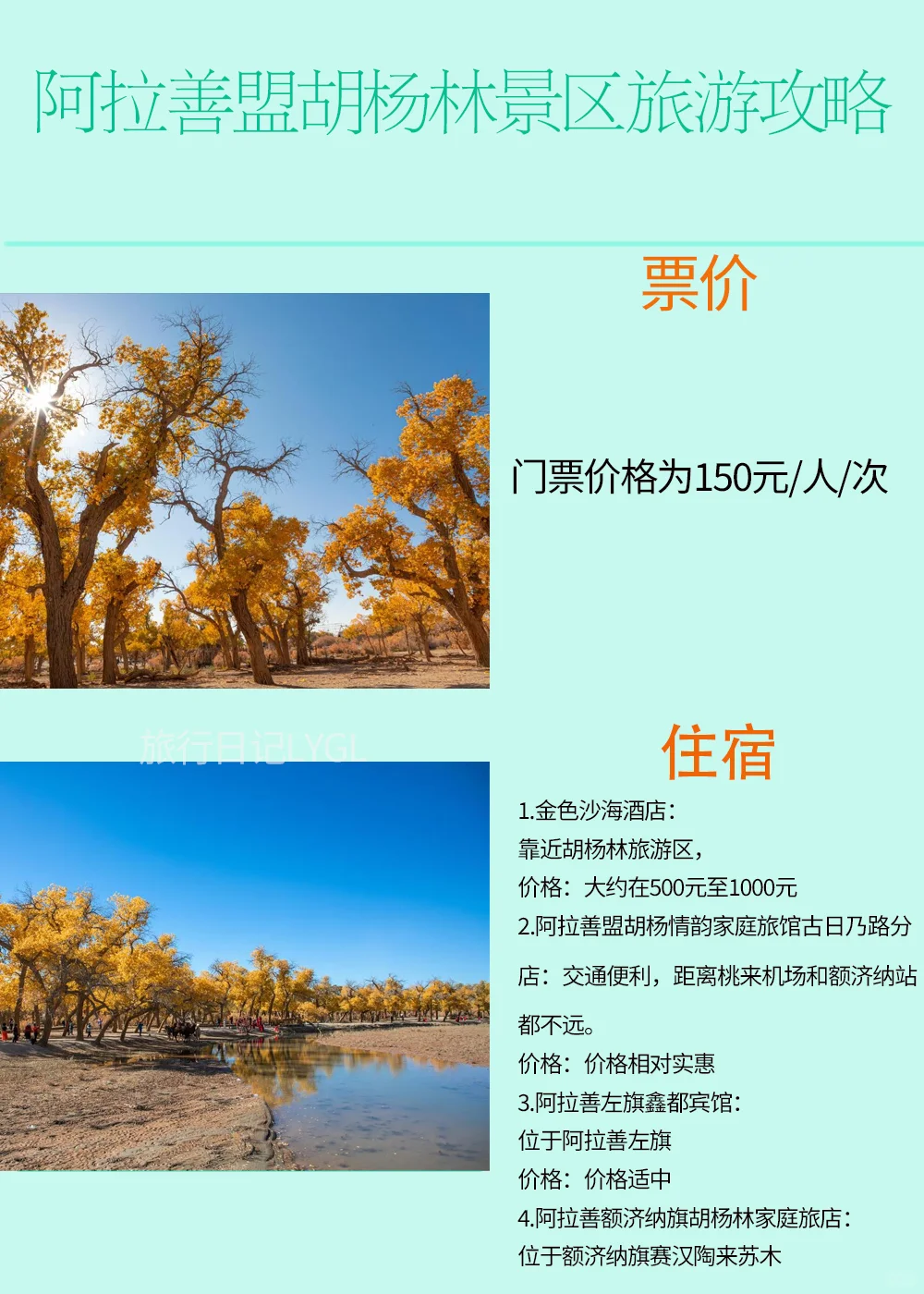 内蒙古阿拉善盟胡杨林旅游攻略