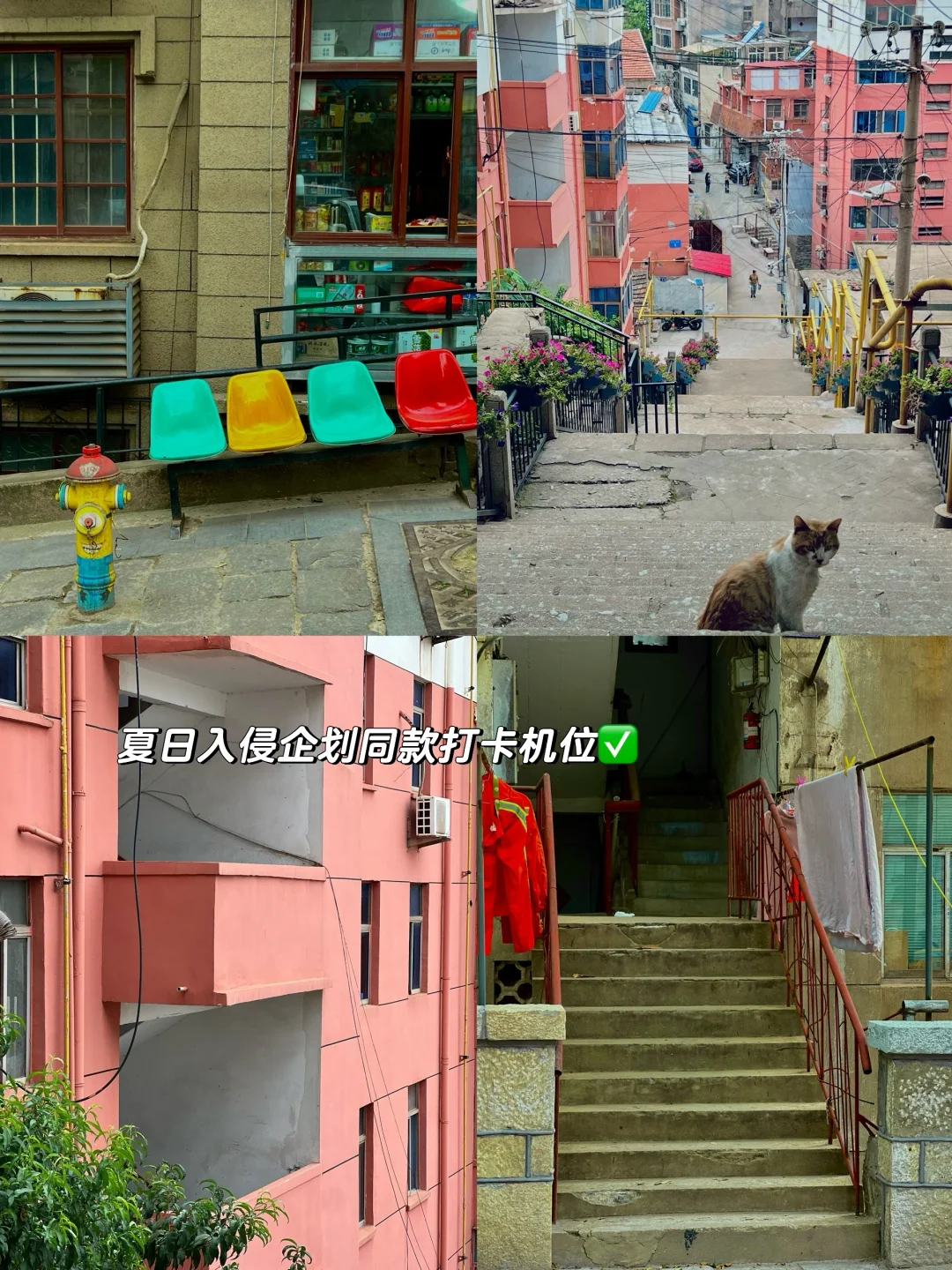 连云港🌊两天一夜看海吃喝旅游全攻略📝