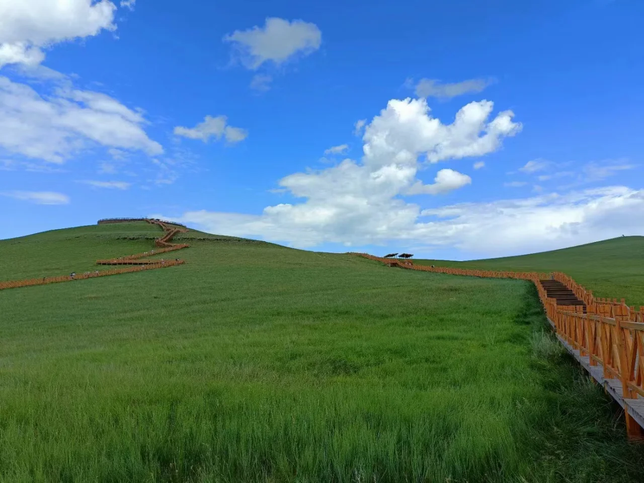 7000字的呼伦贝尔亲子自驾游攻略！