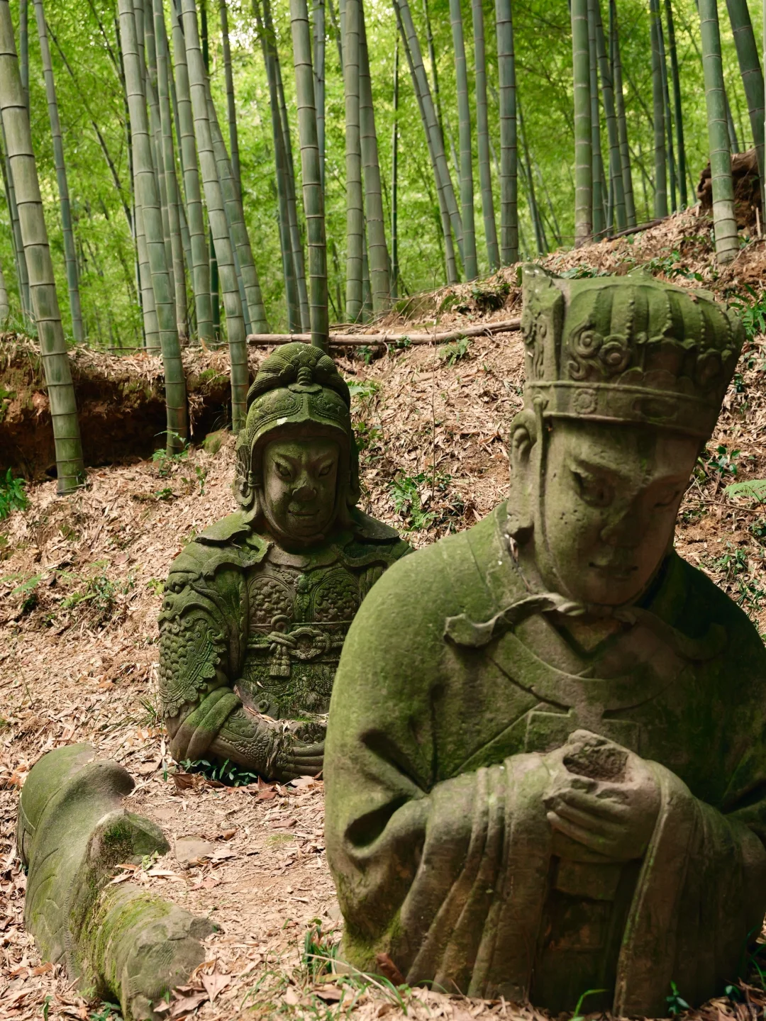 在四明湖深处，误撞了南宋石像生