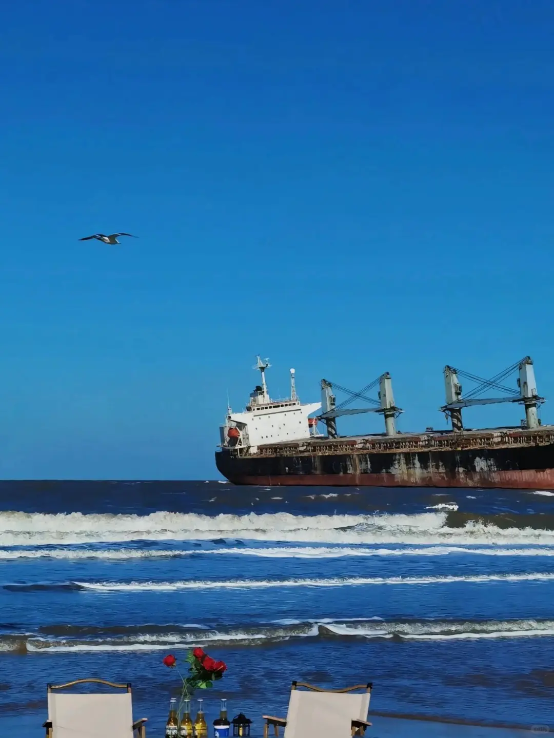 以为青岛已经很美了，直到我去了威海…一