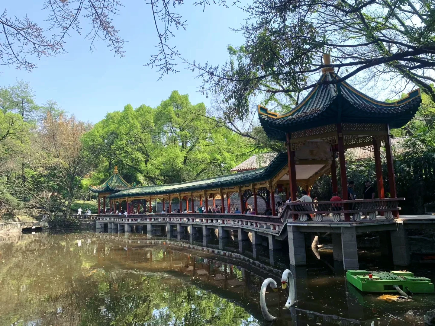 🌳鹅岭公园全攻略📸