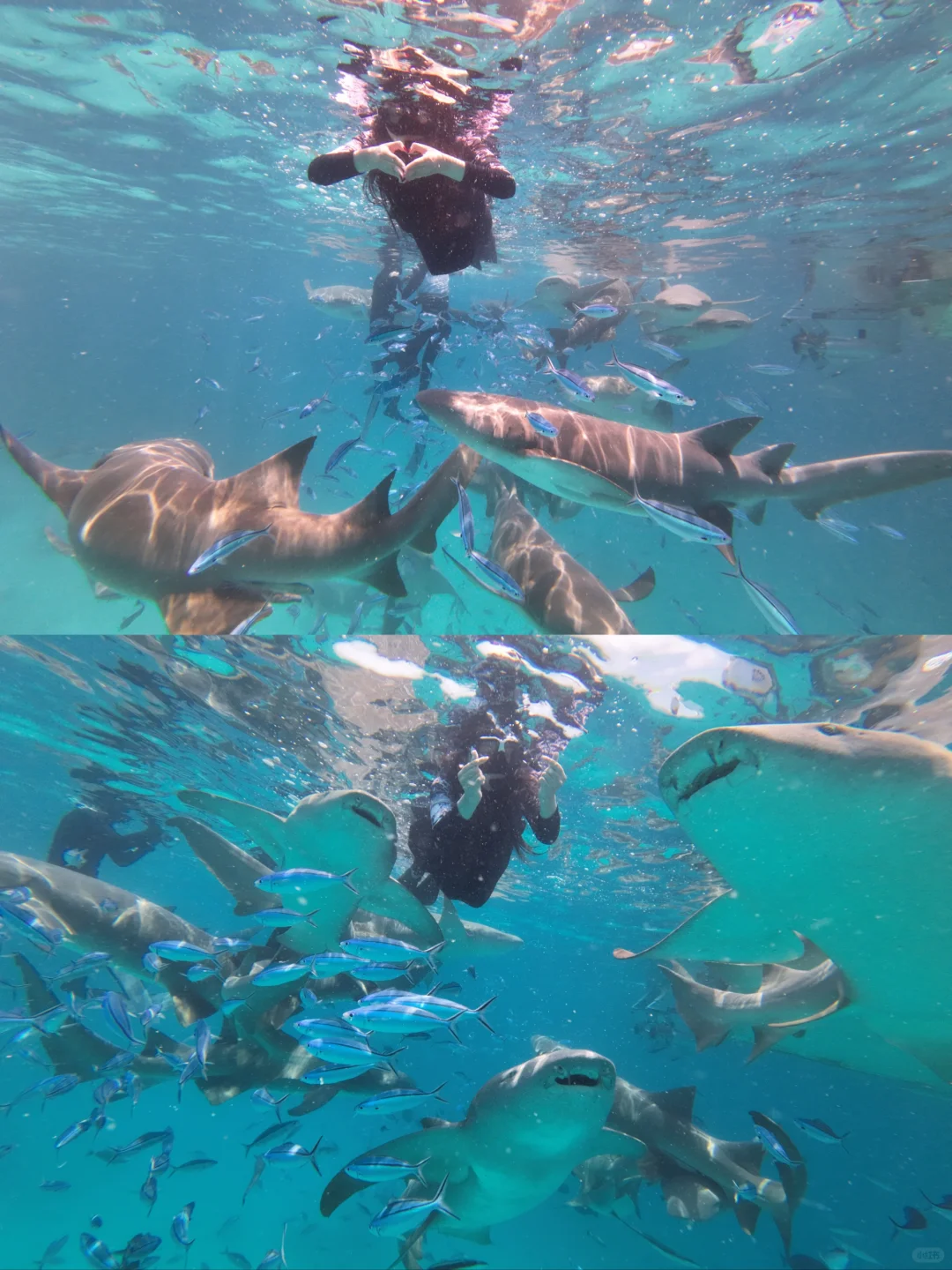 和男友在马代玩了6天，消费观真的崩塌了