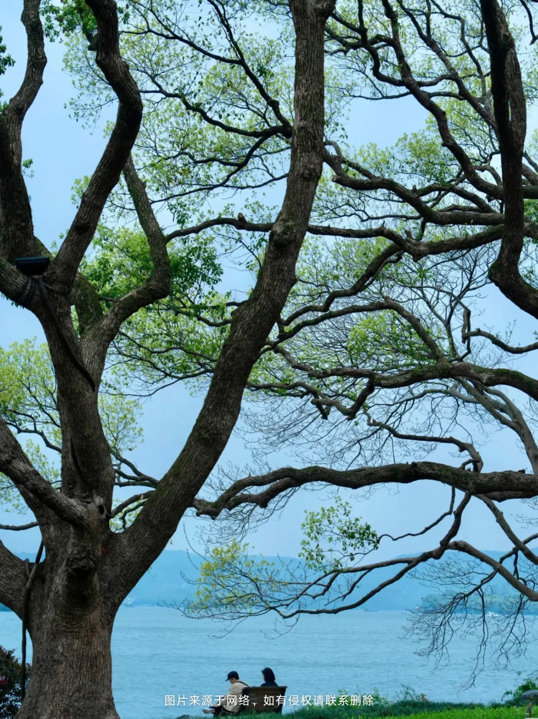 谁懂啊！五一江浙沪旅游攻略大揭秘🎉
