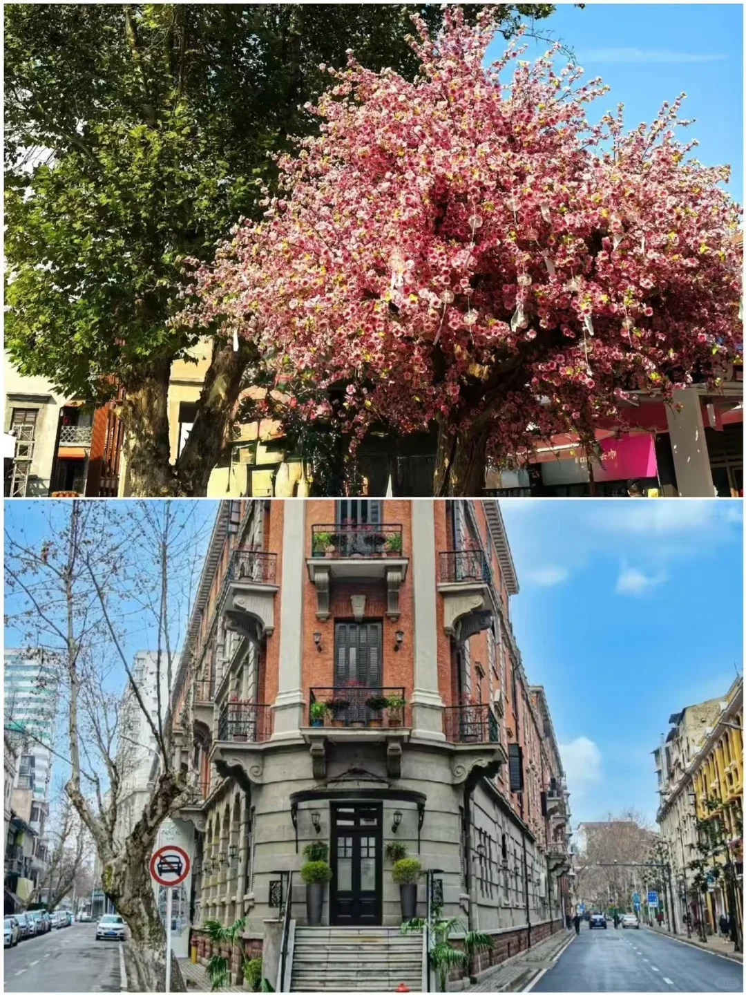 3-4月最值得去的五个城市！