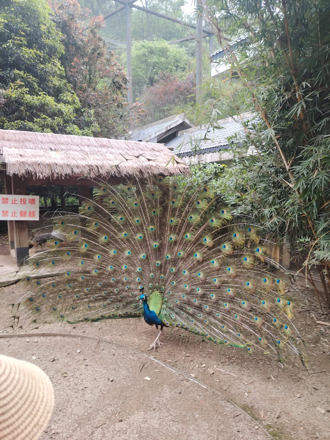 贵阳旅游攻略 黔灵山省博泉湖公园