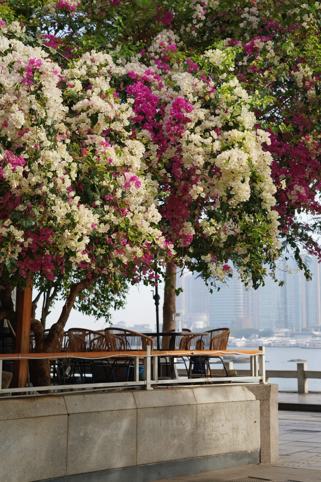 度假时光｜一个人的鼓浪屿，漫步成诗⛱️