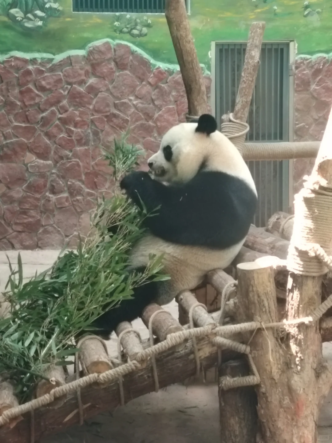 贵阳旅游攻略 黔灵山省博泉湖公园