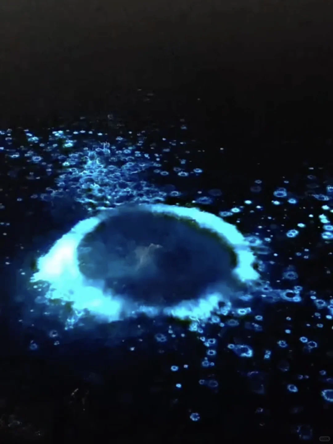 天津清明旅游攻略！景点+路线+美食街+夜市‼️