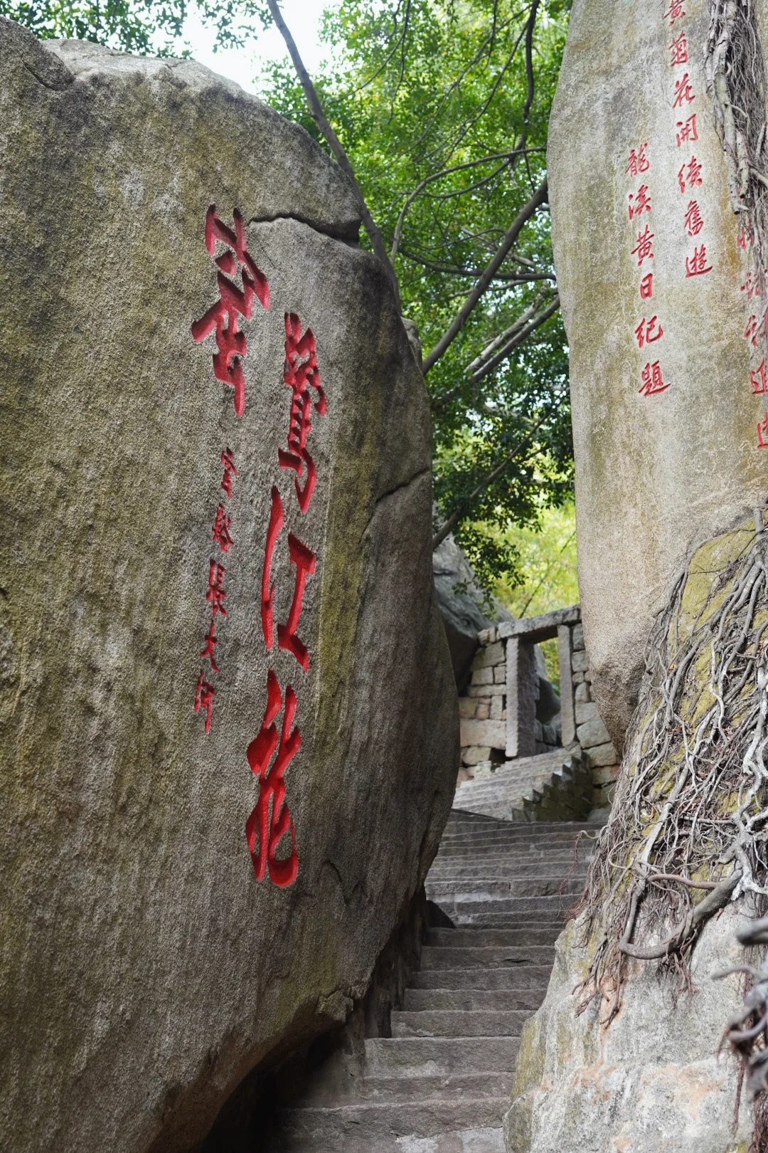 度假时光｜一个人的鼓浪屿，漫步成诗⛱️