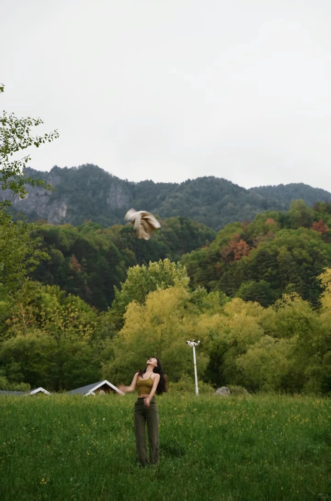 五一去陇南 | 这份攻略直接抄📸附详细机位