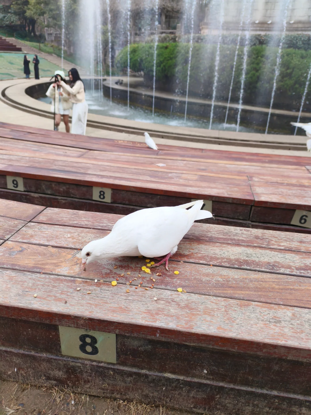 带娃去南京中山陵前不知道这些你会后悔的！