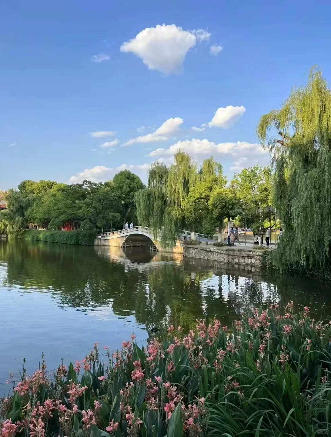 旅游特价游，想出游的来聊