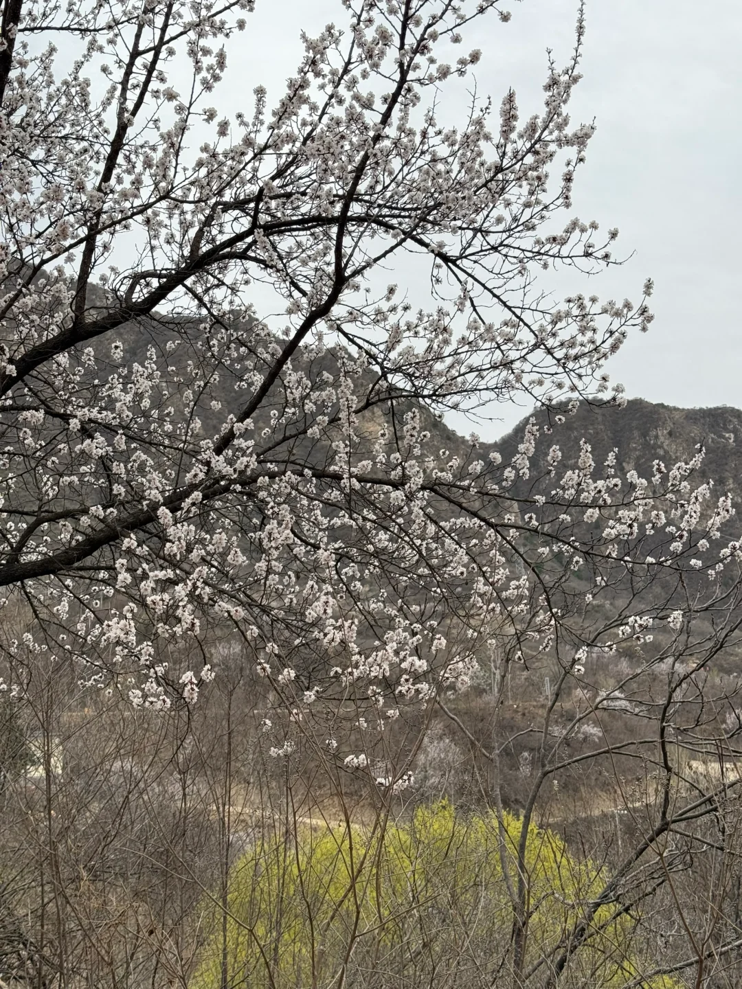 不为人知的水瀑沟！⛰️