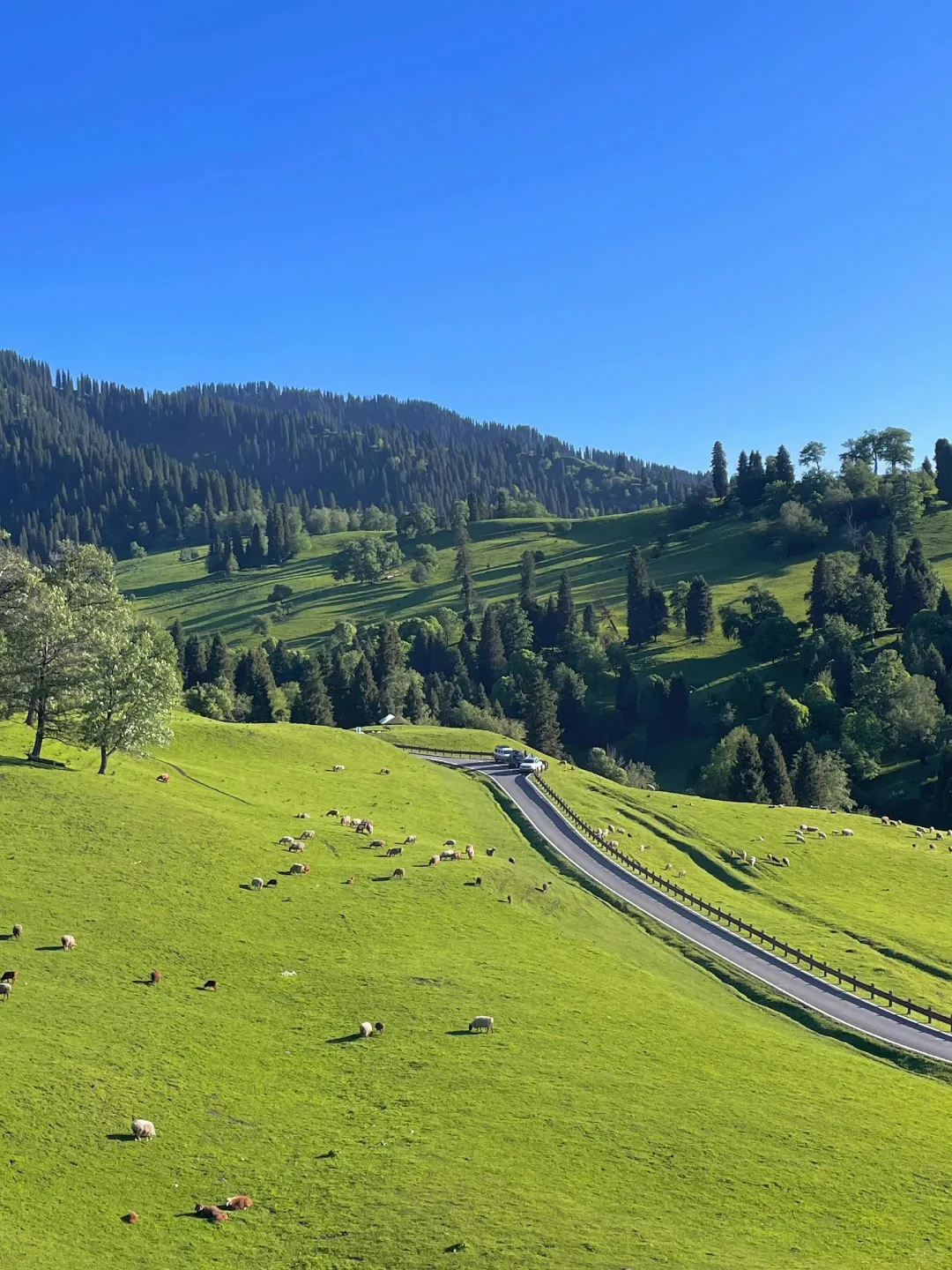 关于五一去新疆旅游的，过来人只想说...😓