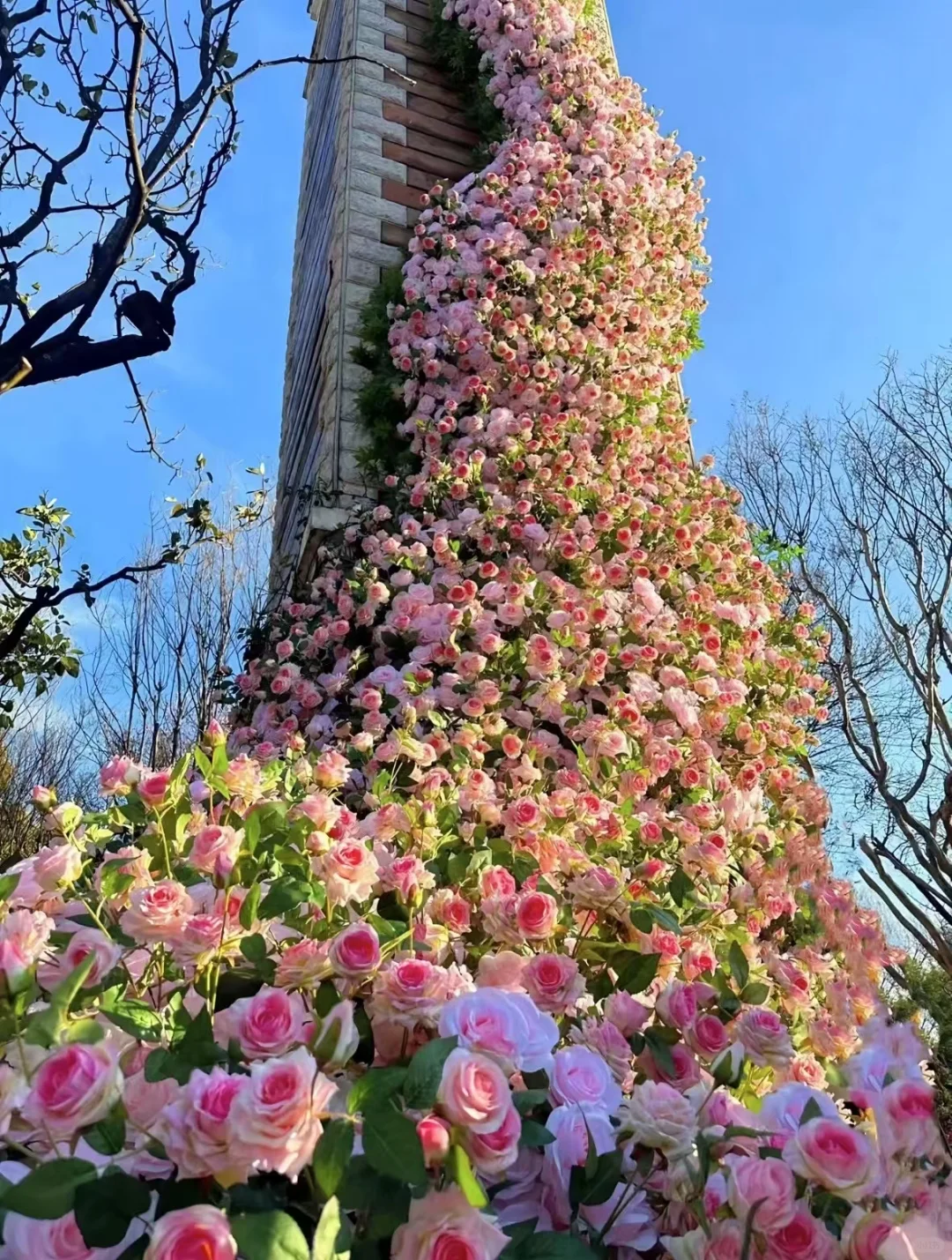 旅游特价游，想出游的来聊