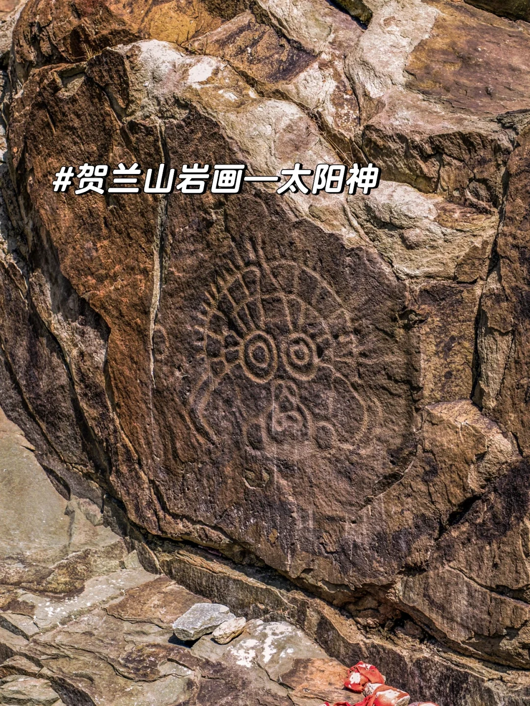 🌟银川+中卫5天4夜沙漠之旅攻略🏜️