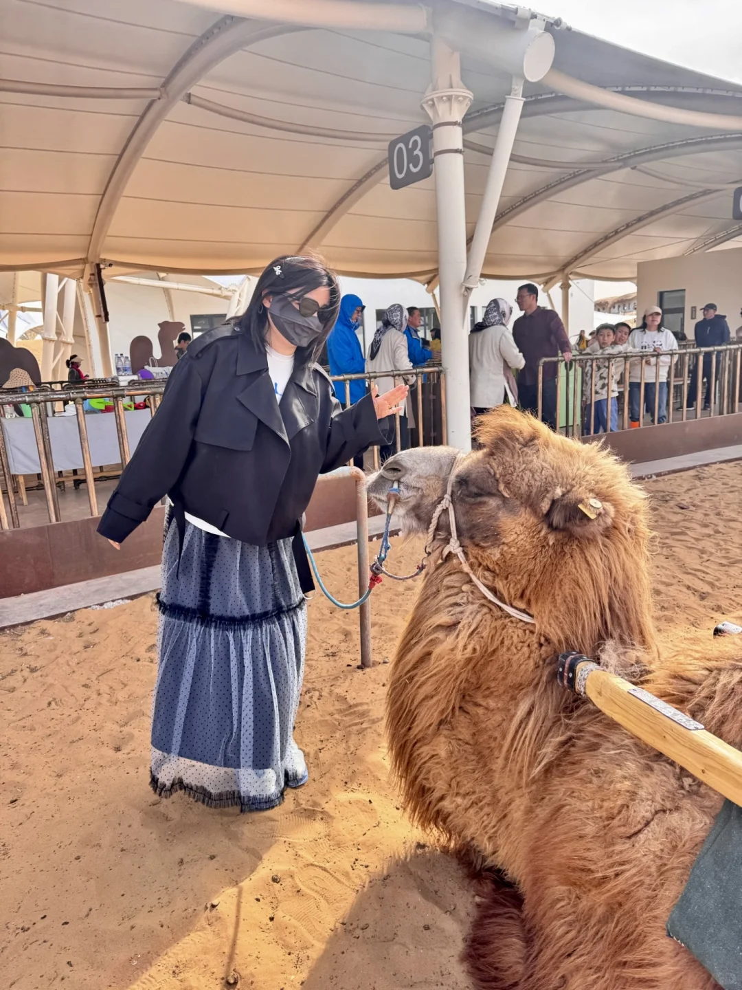 在中卫：大漠黄沙 戈壁孤烟的荒凉具像化了